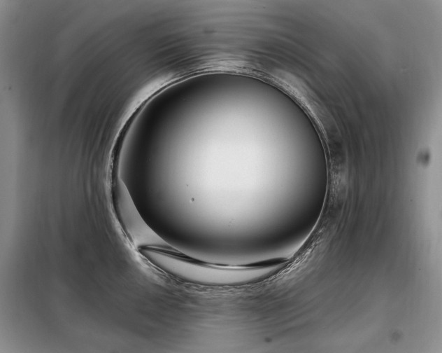 X0000099291050200805021227