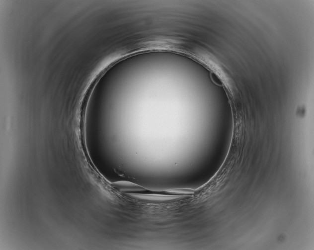 X0000099291051200805021227
