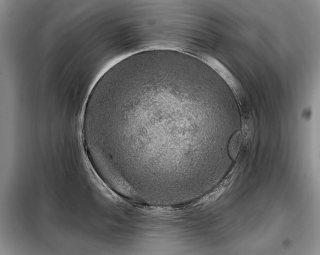 X0000099291052200805021227