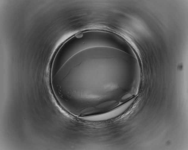 X0000099291053200805021227