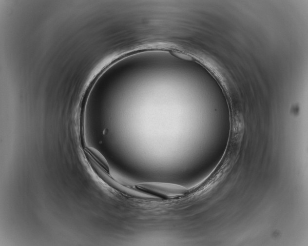 X0000099291054200805021227