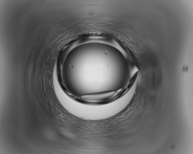 X0000099291059200805021226