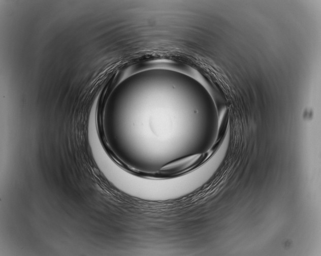 X0000099291060200805021226