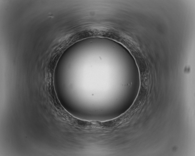 X0000099291061200805021226