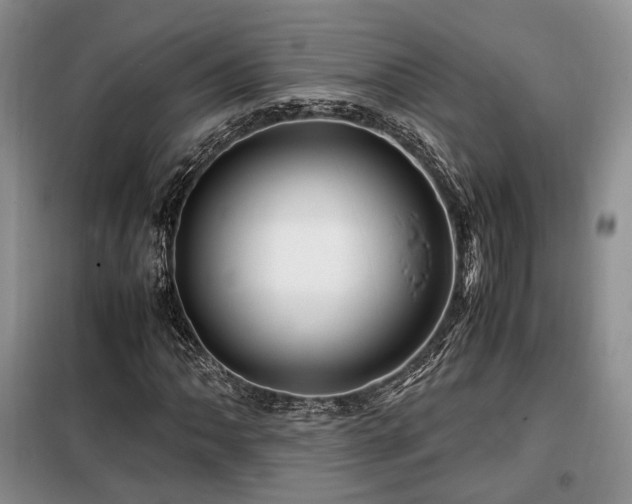 X0000099291062200805021226