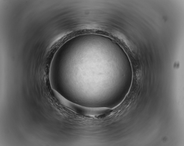 X0000099291064200805021226