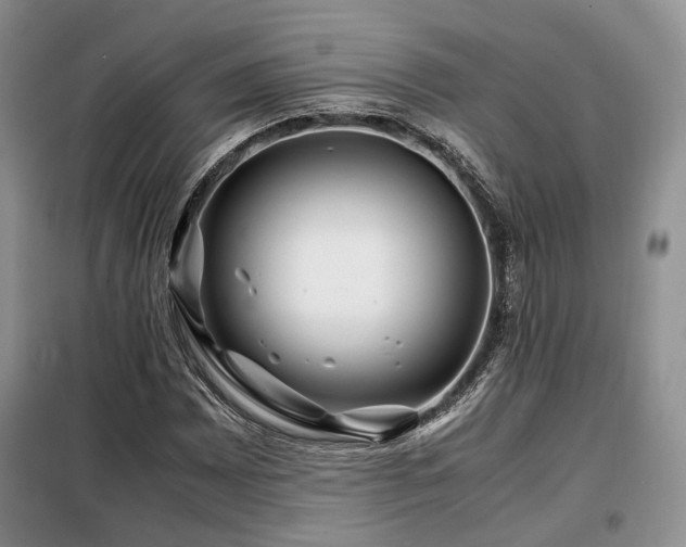 X0000099291065200805021226