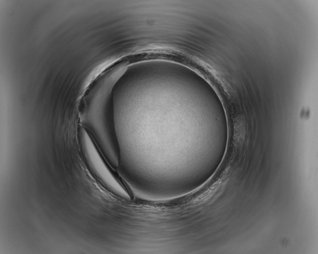 X0000099291066200805021226