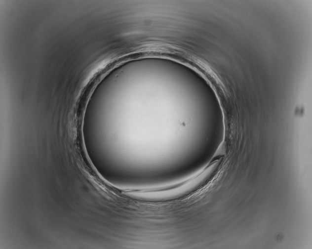 X0000099291067200805021226