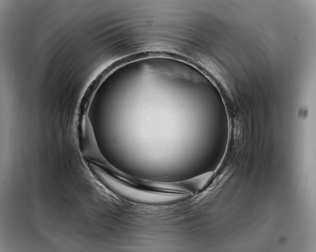X0000099291068200805021226
