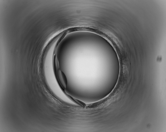 X0000099291069200805021226