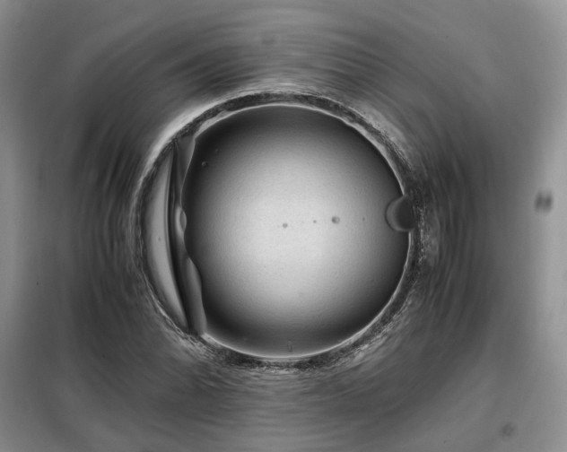 X0000099291070200805021226