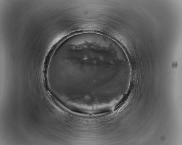 X0000099291071200805021226