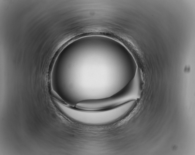 X0000099291073200805021226