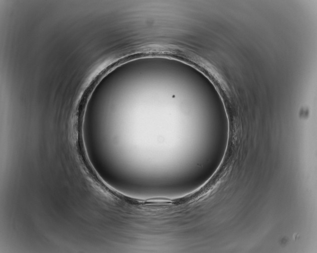 X0000099291075200805021226
