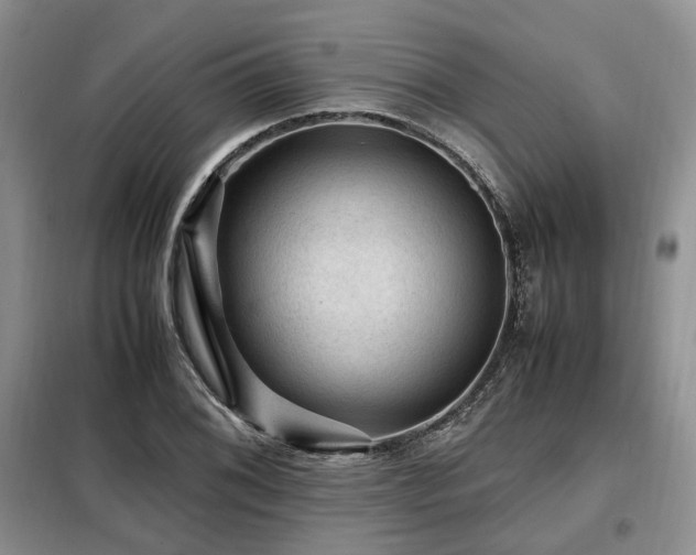 X0000099291076200805021226