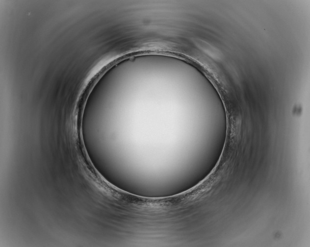X0000099291078200805021226