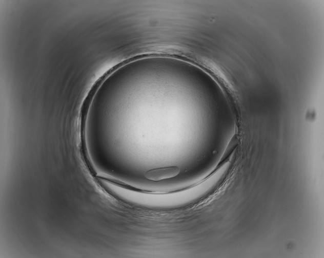 X0000099291079200805021226