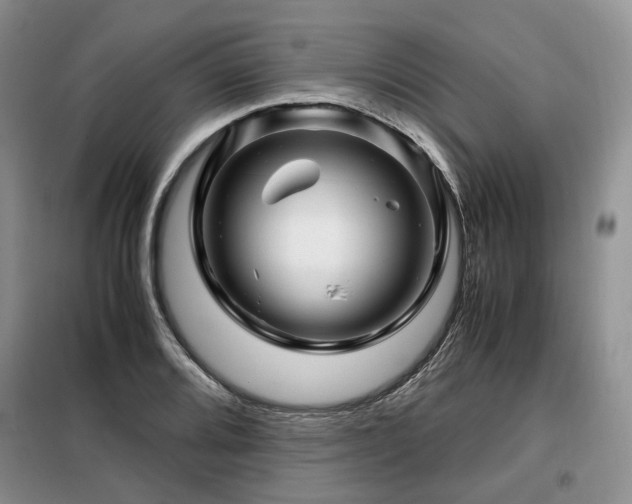 X0000099291080200805021226