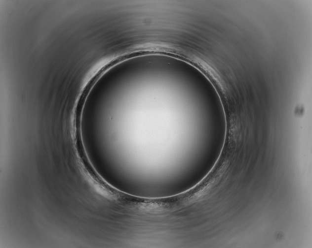 X0000099291082200805021226