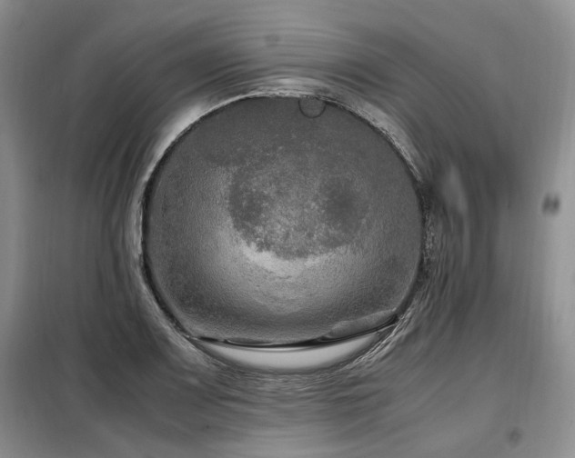 X0000099291083200805021226