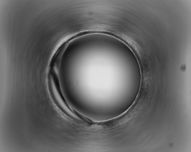 X0000099291085200805021226