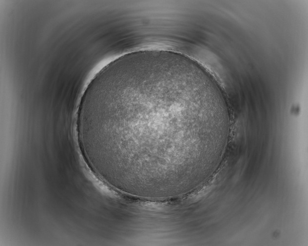 X0000099291086200805021226