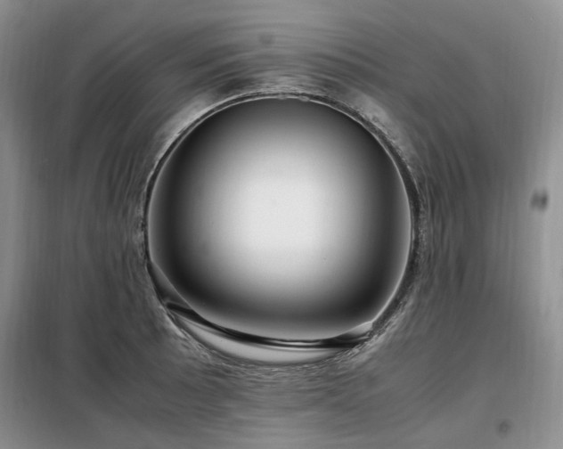 X0000099291089200805021226