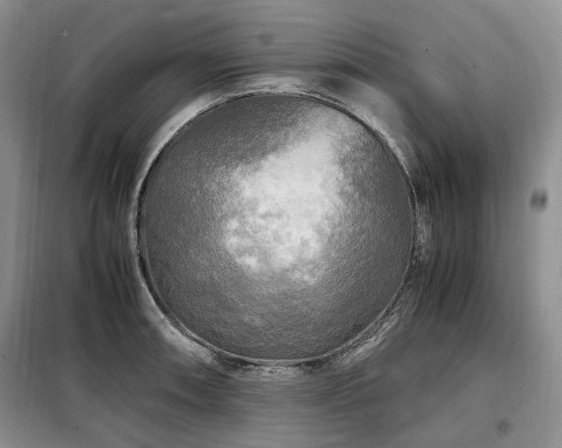 X0000099291090200805021226