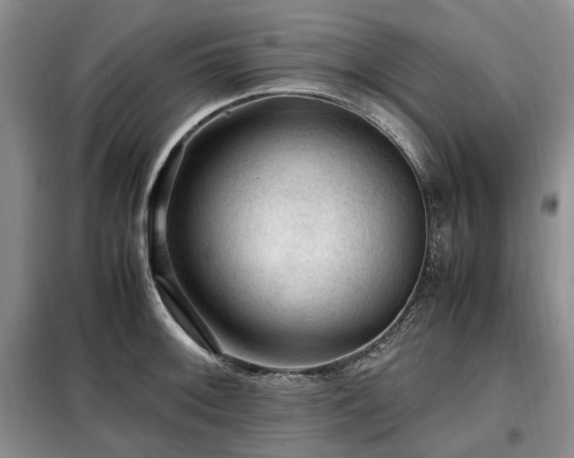 X0000099291092200805021226