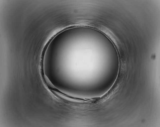 X0000099291093200805021226