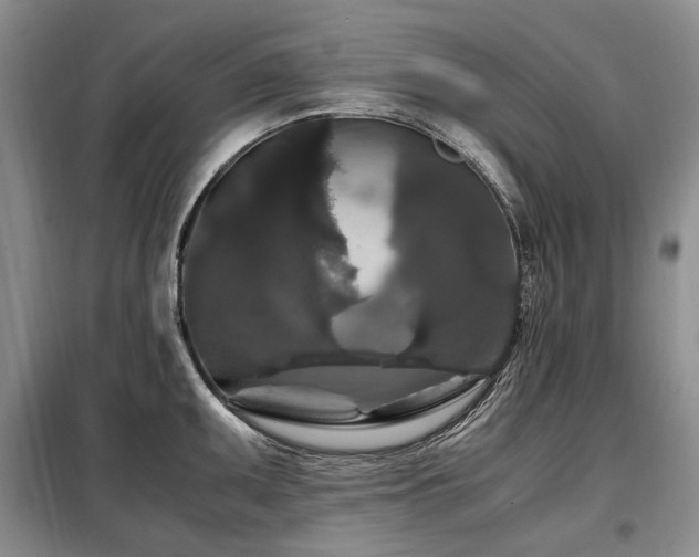 X0000099291095200805021226