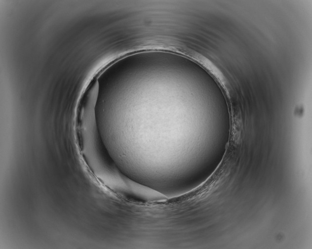 X0000099291096200805021226