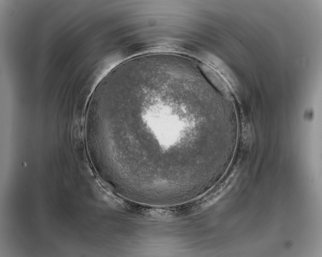 X0000099291097200805021226