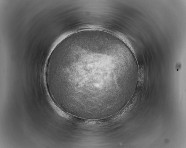 X0000099291098200805021226