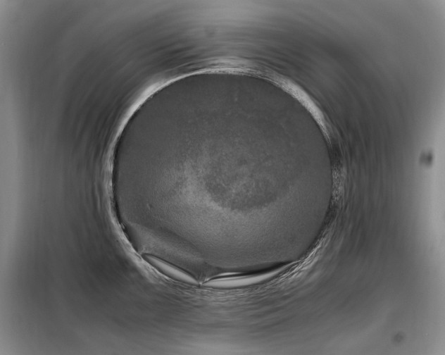 X0000099291099200805021226