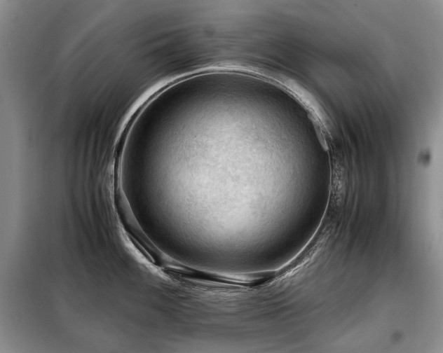 X0000099291100200805021226