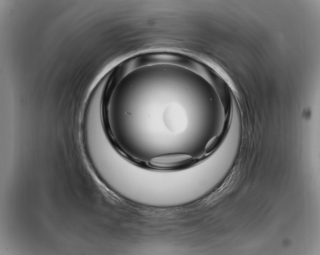 X0000099291101200805021226