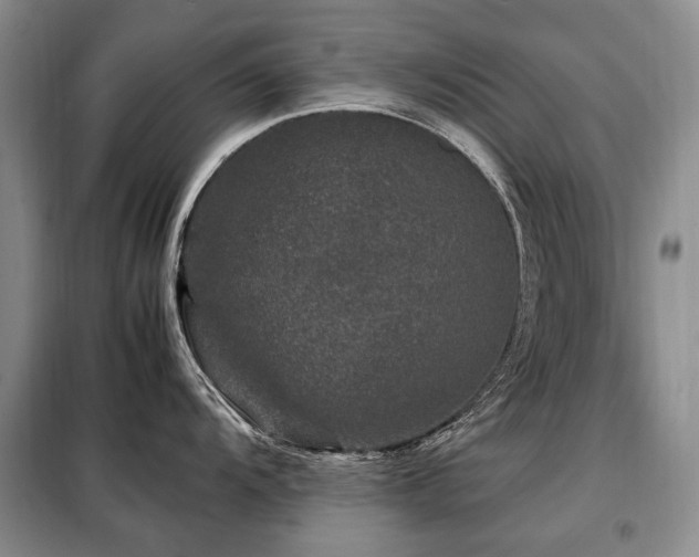 X0000099291104200805021226