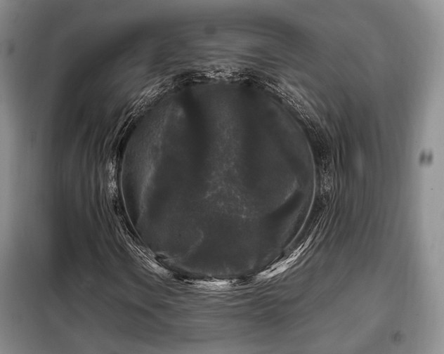 X0000099291106200805021225