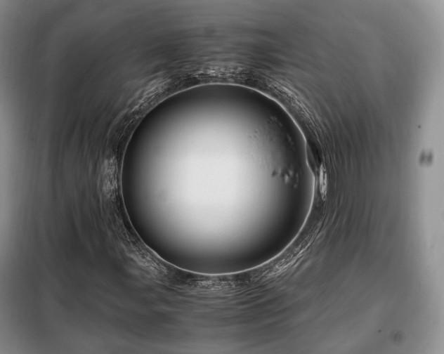 X0000099291107200805021225