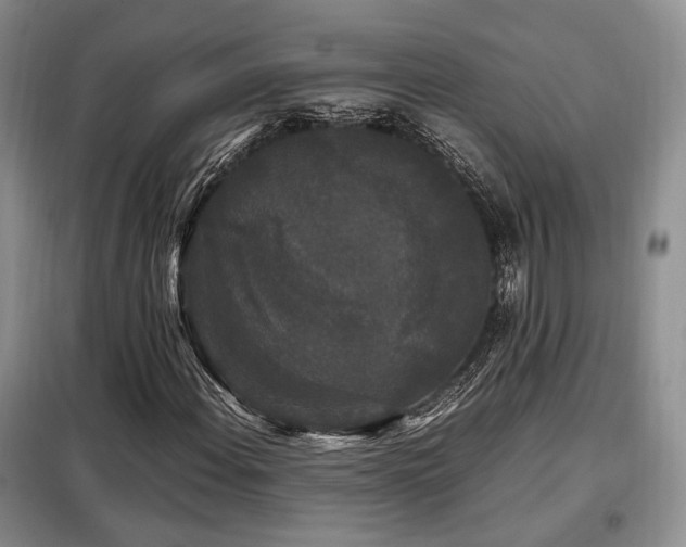 X0000099291108200805021225