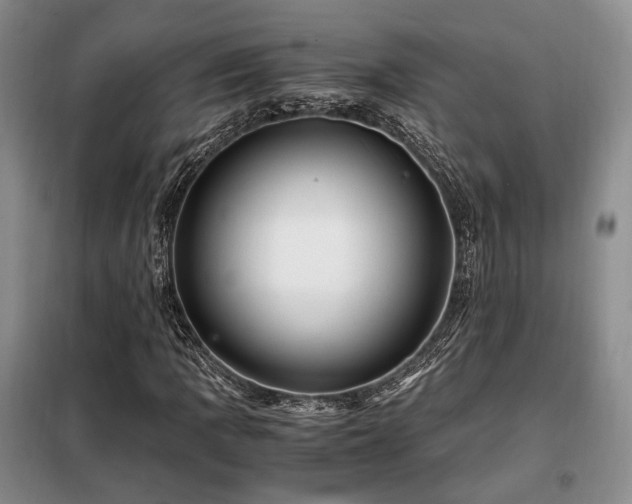 X0000099291109200805021225