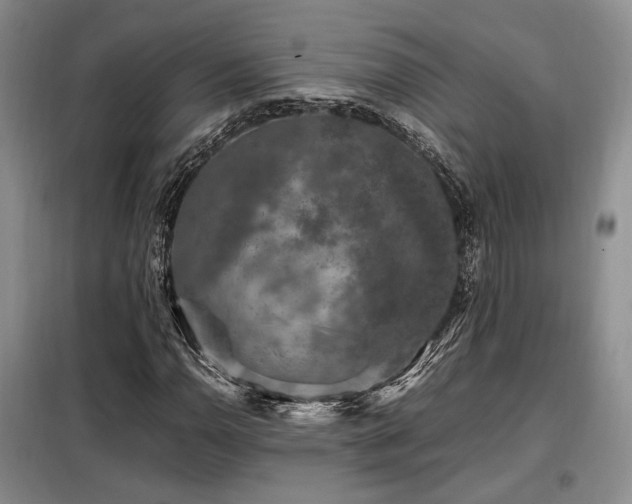 X0000099291110200805021225