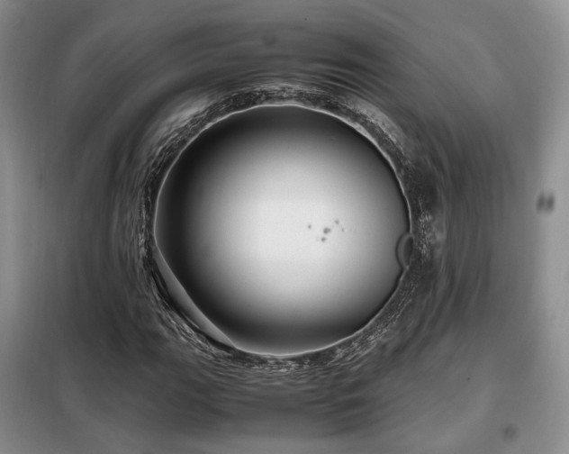 X0000099291111200805021225