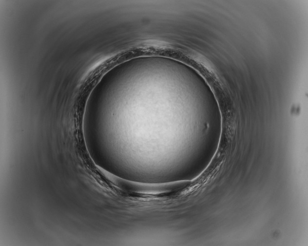 X0000099291112200805021225