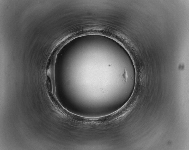 X0000099291113200805021225