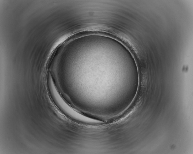 X0000099291114200805021225
