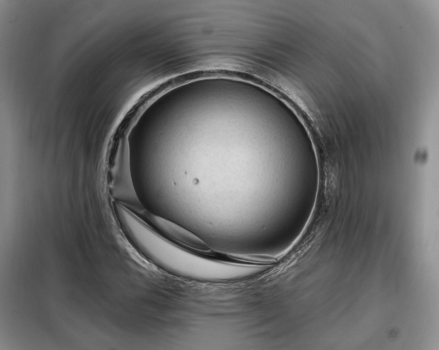 X0000099291116200805021225