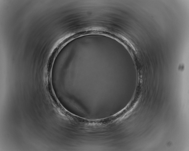 X0000099291117200805021225